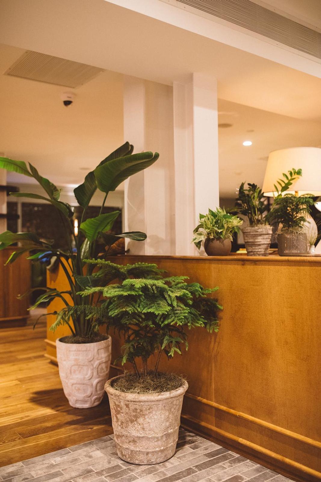 צ'רלסטון Hotel Emeline מראה חיצוני תמונה